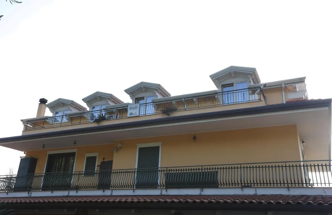 B&B Oliveto-1